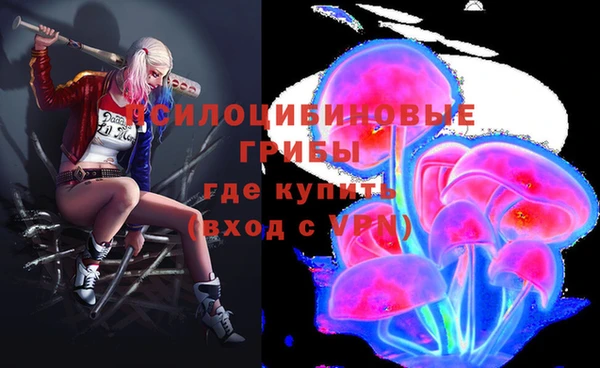 МДПВ Абаза
