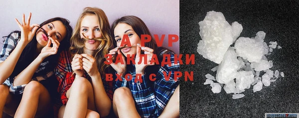 шишки Абинск
