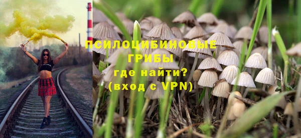 МДПВ Абаза