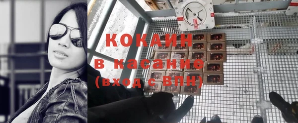 шишки Абинск