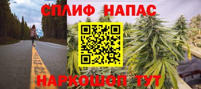 прущие грибы Новодвинск