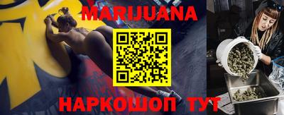 прущие грибы Новодвинск